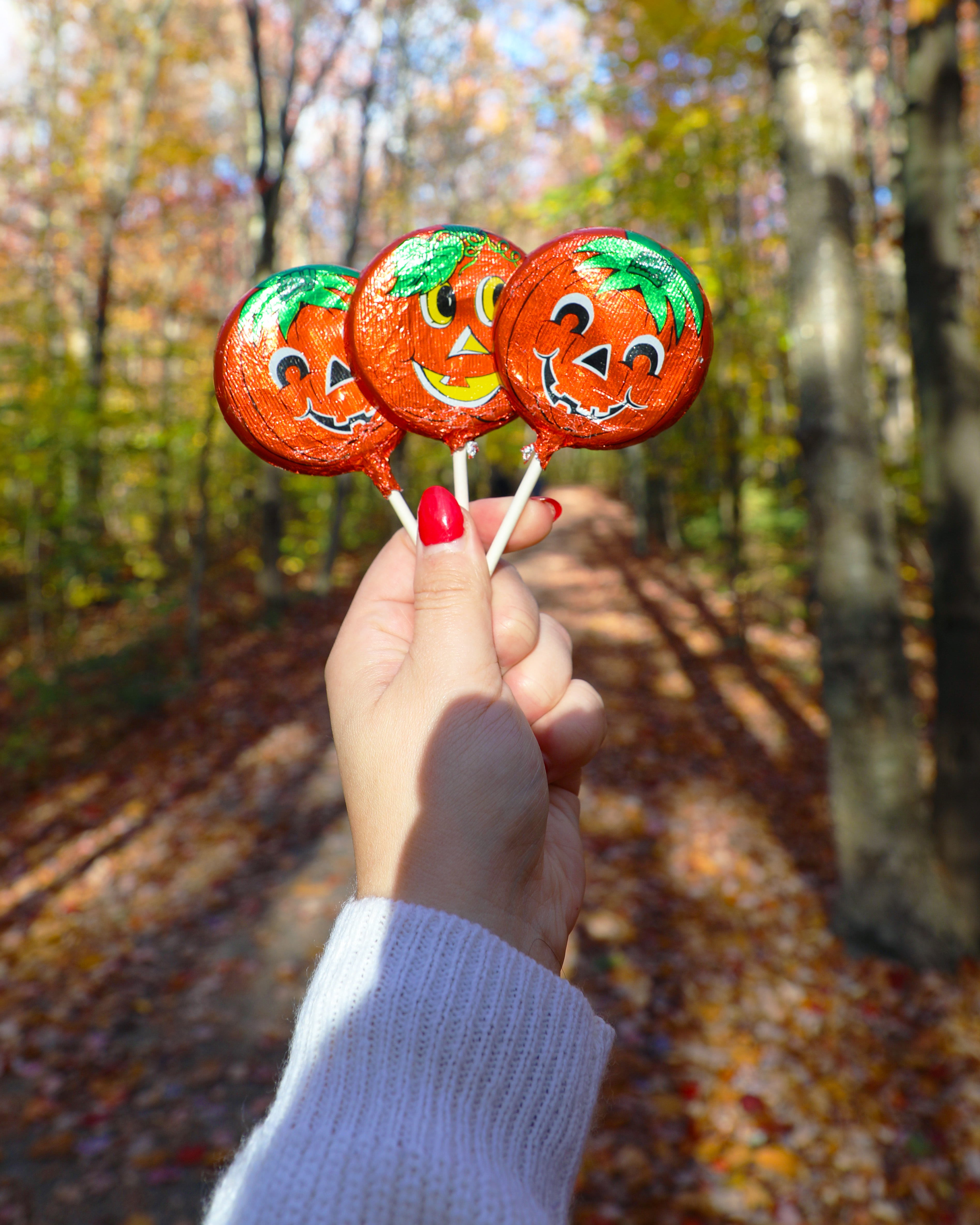 Laura Secord Products